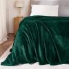 imageNICETOWN King Size Warm Sherpa Fleece Blanket Comfort Dual Sided Super Soft Fleece Throw Blanket for Bed Ultra Comfy Fuzzy Reversible Thick for Winter 90quot x 108quot OrangeForest Green