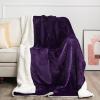imageNICETOWN King Size Warm Sherpa Fleece Blanket Comfort Dual Sided Super Soft Fleece Throw Blanket for Bed Ultra Comfy Fuzzy Reversible Thick for Winter 90quot x 108quot OrangeSherpa  Fleece  Purple