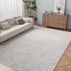 imageNICETOWN 8x10 White Washable Area Rug for Bedroom Thin Washable Rug for Living Room NonSlip Door Mat Ultra Soft for Bedroom Living Room Kitchen Home Office White and BrownGrey