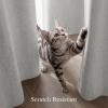 imageNICETOWN 100 Blackout Curtains for Bedroom 96 Inches Long 2 Panels Set Grey Grommet Thermal Insulated Flax Textured Full Light Blocking Window Draperies for Living Room 52 WCloudy Grey