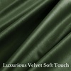 image:imageNICETOWN 96 inch Long Brown Velvet Curtains Extra Wide W62 x L96 Luxury Soft Thermal Insulated Room Darkening Heavy Duty Velvet Drapes for Sliding Glass Door 2 PanelsGreen Series  Olive Green