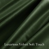 image:imageNICETOWN 96 inch Long Brown Velvet Curtains Extra Wide W62 x L96 Luxury Soft Thermal Insulated Room Darkening Heavy Duty Velvet Drapes for Sliding Glass Door 2 PanelsGreen Series  Olive Green