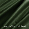 image:imageNICETOWN 96 inch Long Brown Velvet Curtains Extra Wide W62 x L96 Luxury Soft Thermal Insulated Room Darkening Heavy Duty Velvet Drapes for Sliding Glass Door 2 PanelsGreen Series  Olive Green
