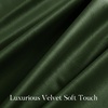 image:imageNICETOWN 96 inch Long Brown Velvet Curtains Extra Wide W62 x L96 Luxury Soft Thermal Insulated Room Darkening Heavy Duty Velvet Drapes for Sliding Glass Door 2 PanelsGreen Series  Olive Green
