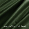 image:imageNICETOWN 96 inch Long Brown Velvet Curtains Extra Wide W62 x L96 Luxury Soft Thermal Insulated Room Darkening Heavy Duty Velvet Drapes for Sliding Glass Door 2 PanelsGreen Series  Single Rod Pocket  Dark Green