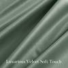 image:imageNICETOWN 96 inch Long Brown Velvet Curtains Extra Wide W62 x L96 Luxury Soft Thermal Insulated Room Darkening Heavy Duty Velvet Drapes for Sliding Glass Door 2 PanelsGreen Series  Seafoam Green